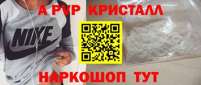 СК Сланцы